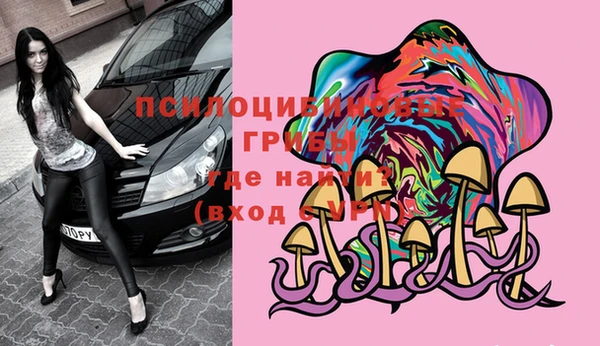 кокс Белокуриха