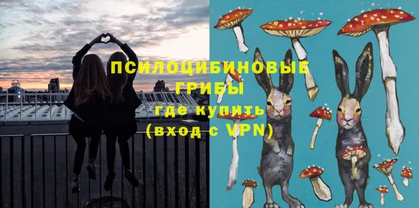 кокс Белокуриха